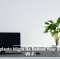 Houseplants Might Be Behind Your Sluggish Wi-Fi